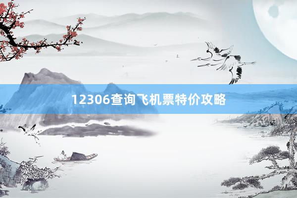 12306查询飞机票特价攻略